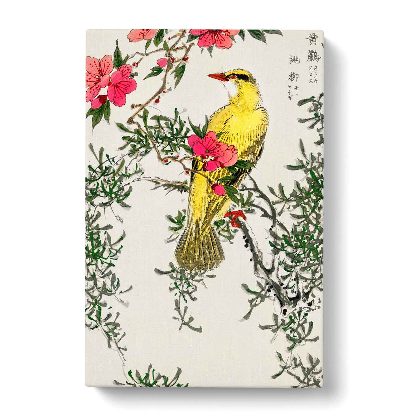 Bush Warbler & Drooping Peach By Numata Kashu Canvas Print Main Image