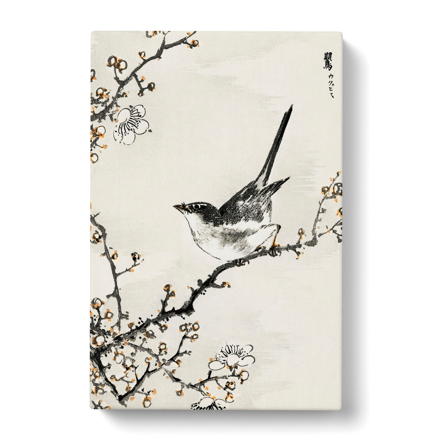 Bush Warbler & White Plum Tree By Numata Kashu Canvas Print Main Image