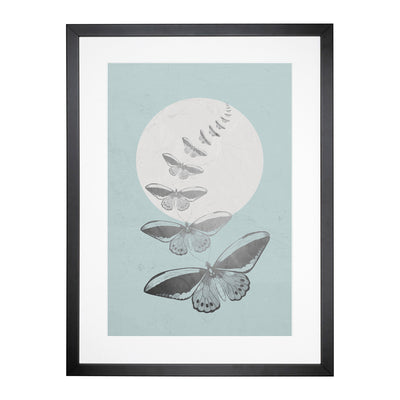 By The Light Of The Moon Framed Print Main Image