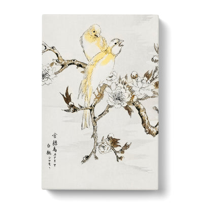 Canary Birds & Peach Blossom By Numata Kashu Canvas Print Main Image