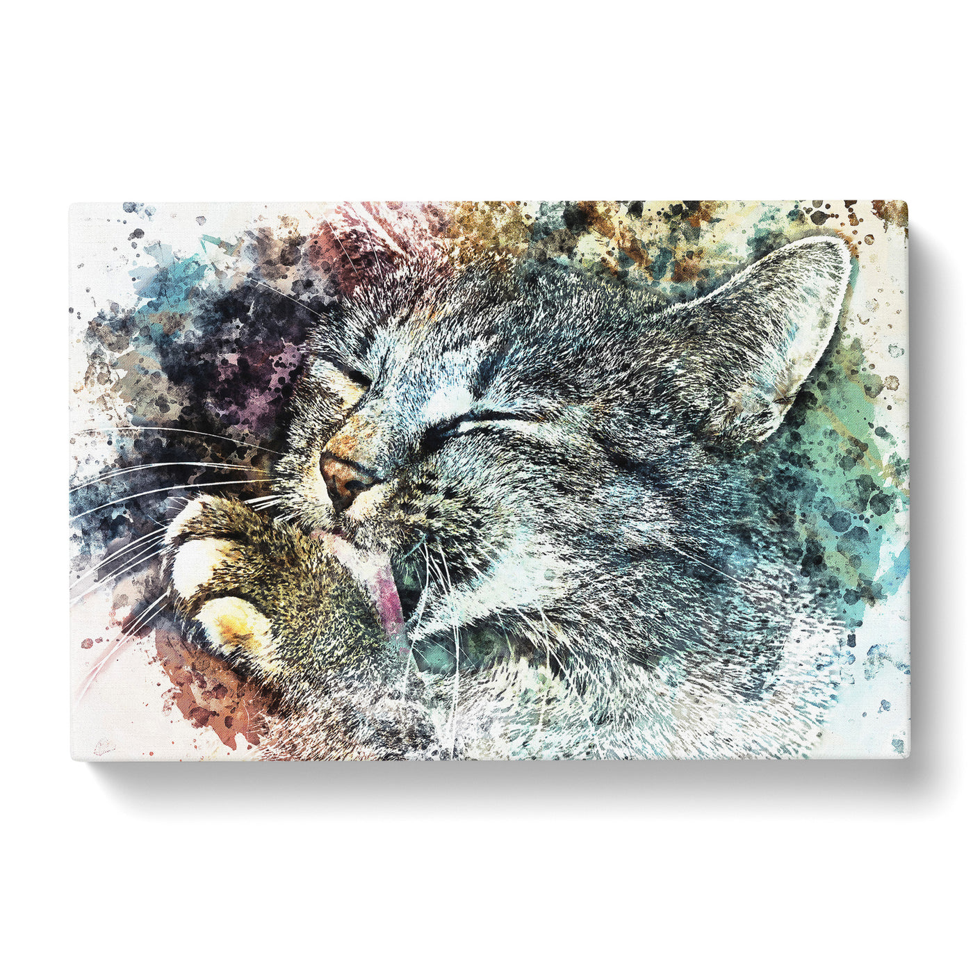 Cat Licking Its Paw In Abstract Canvas Print Main Image