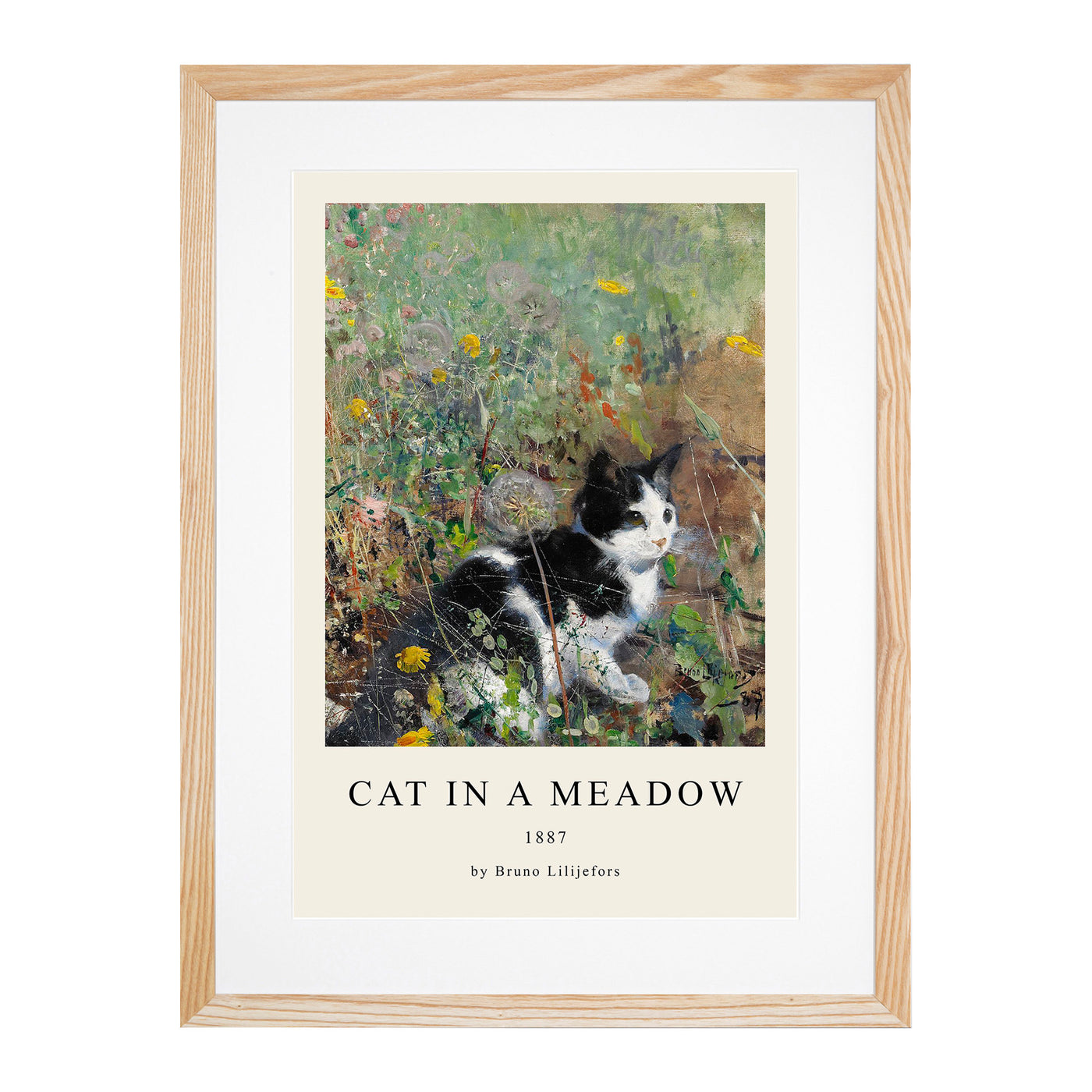 Cat On A Flowerbed Print By Bruno Liljefors