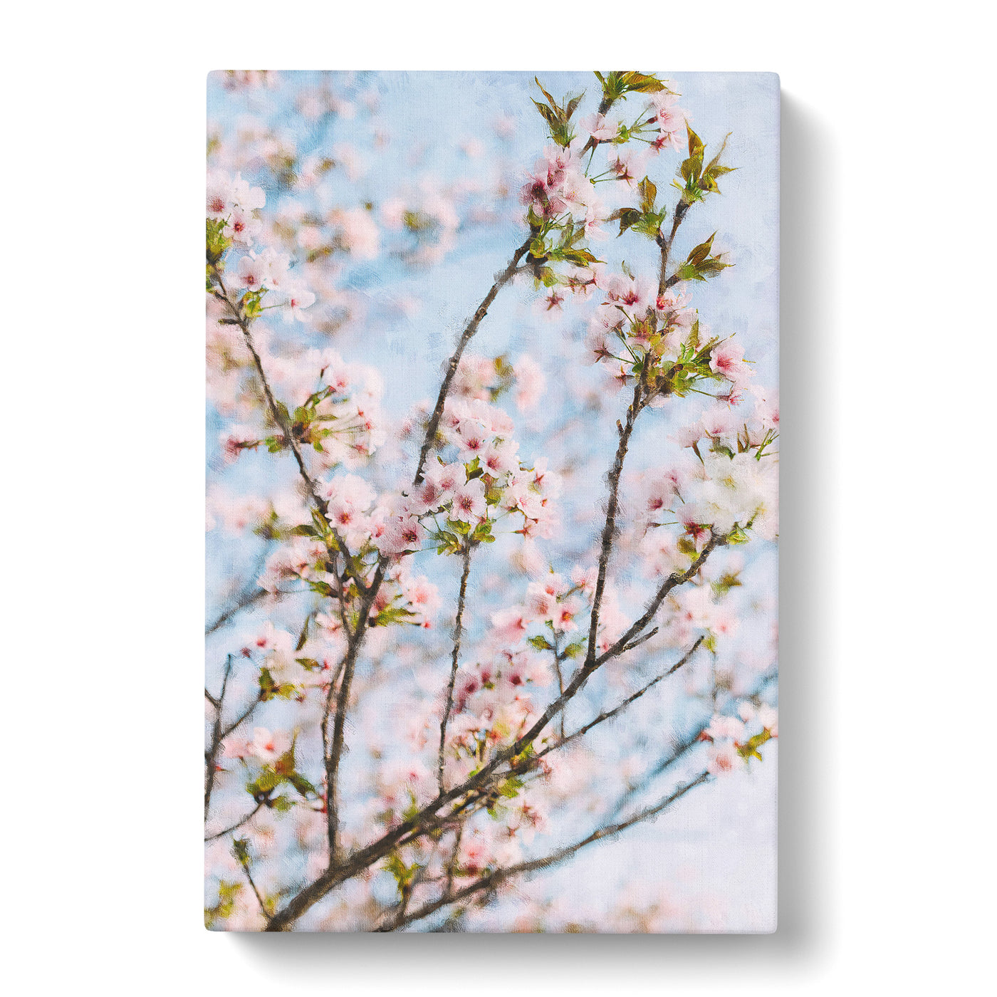 Cherry Blossom Tree Painting Canvas Print Main Image