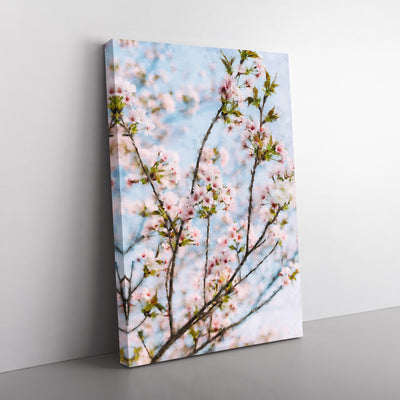 Cherry Blossom Tree