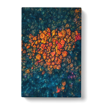 Cluster Of Orange Trees In Abstract Canvas Print Main Image