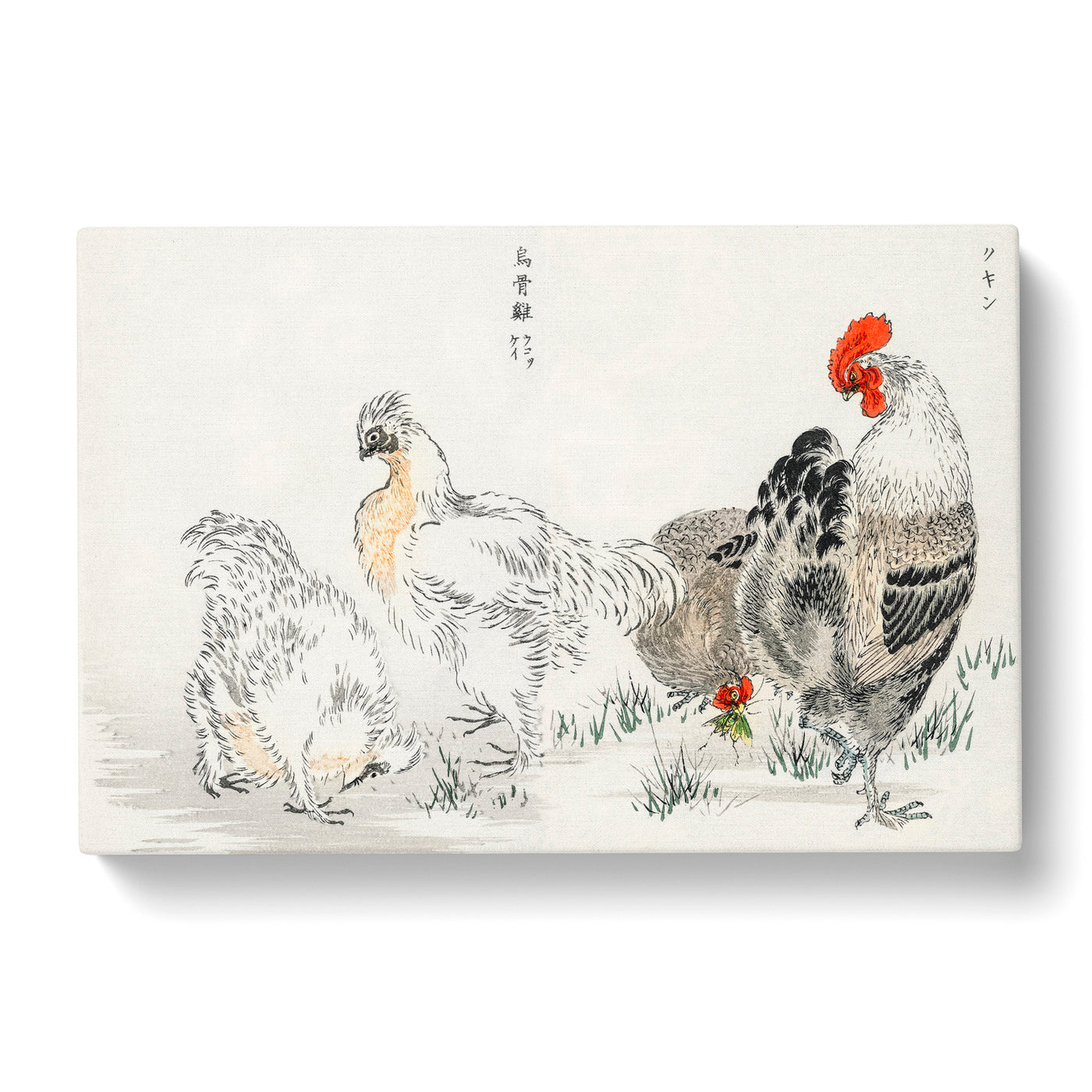 Cock & Hens By Numata Kashu Canvas Print Main Image