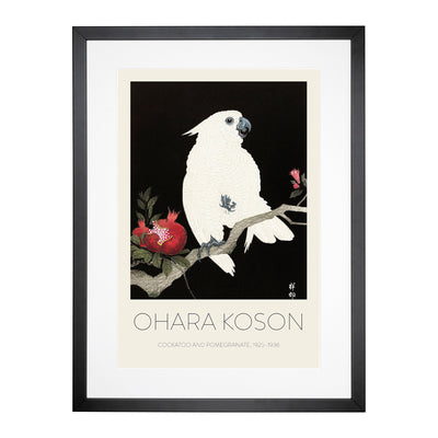 Cockatoo & Pomegranate Print By Ohara Koson Framed Print Main Image