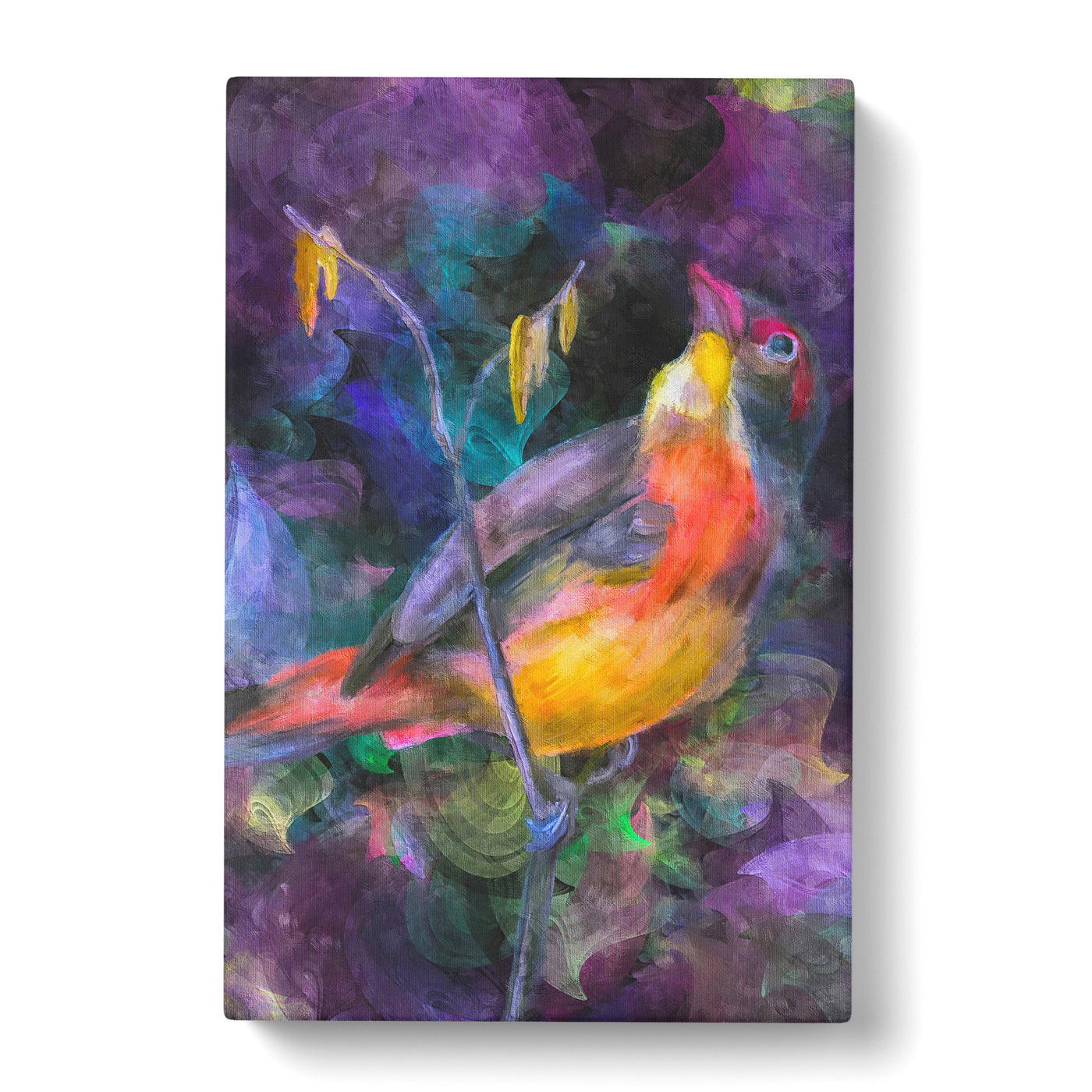 Colourful Bird Painting Canvas Print Main Image