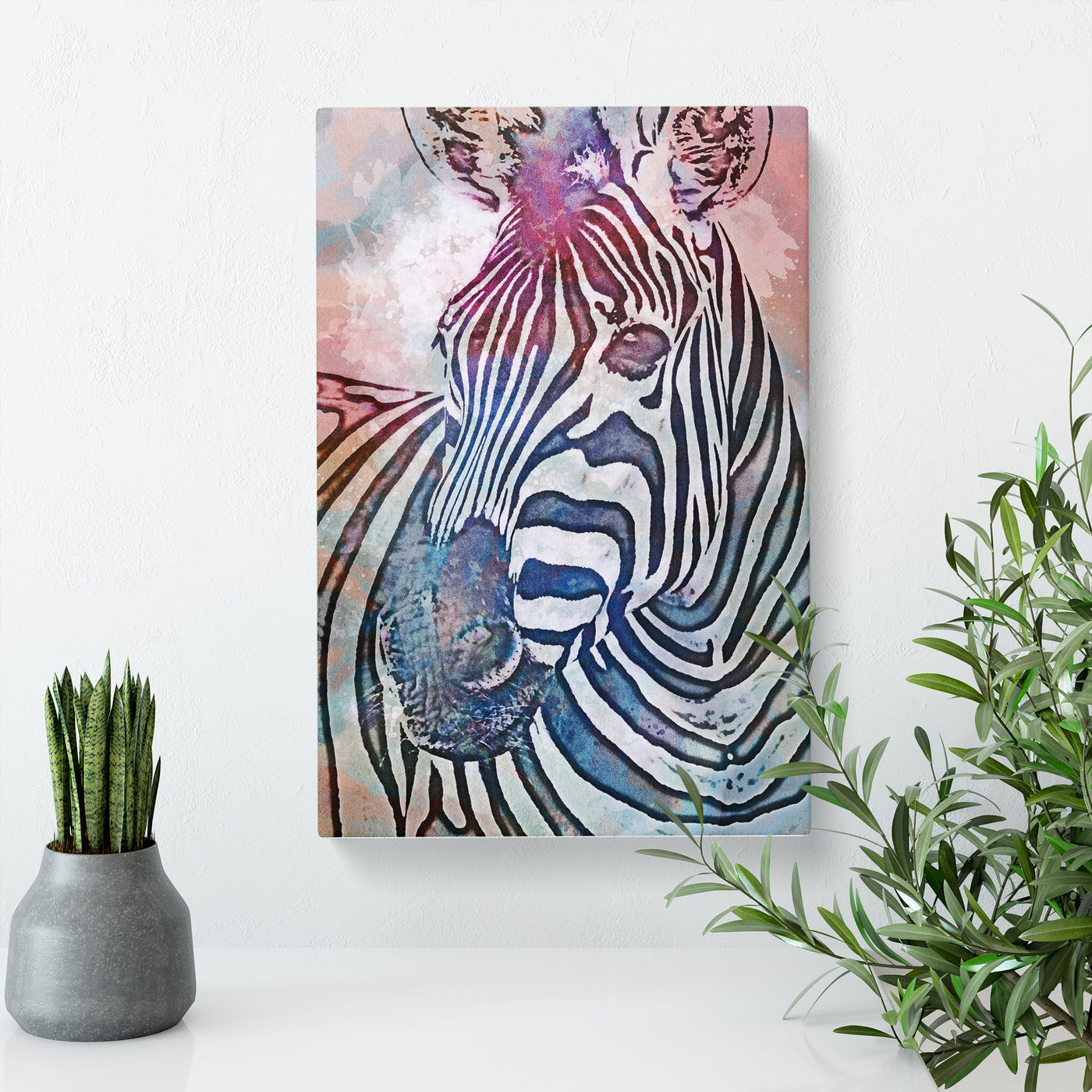 Colourful Zebra