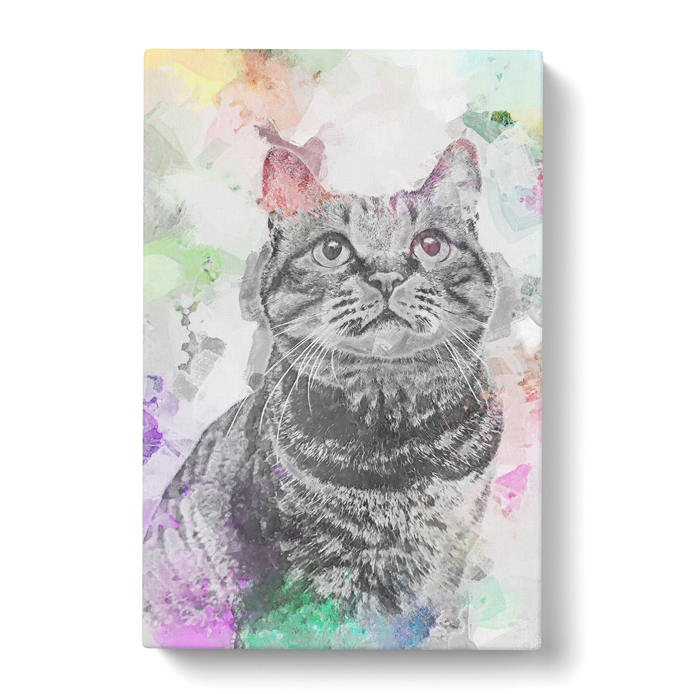 Colours Of A Cat In Abstract Canvas Print Main Image