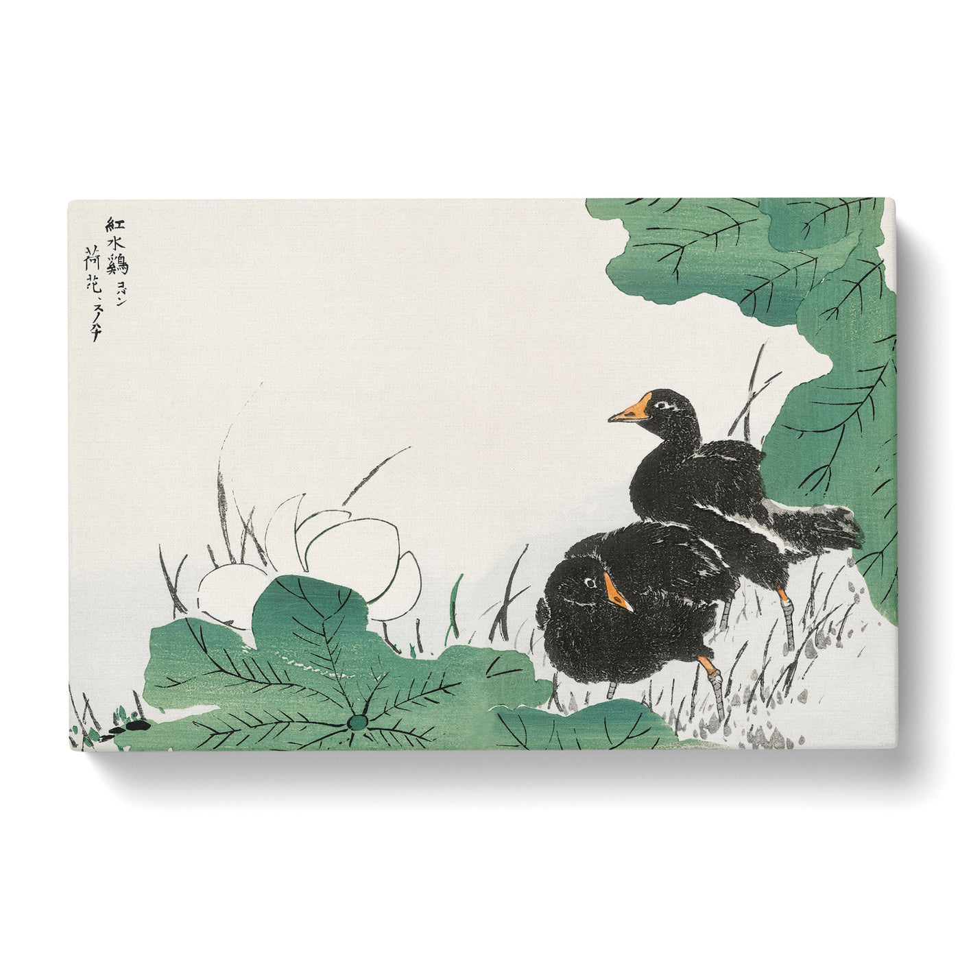 Coot Bird & Lotus Flower By Numata Kashu Canvas Print Main Image