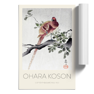 Copper Pheasant Print By Ohara Koson