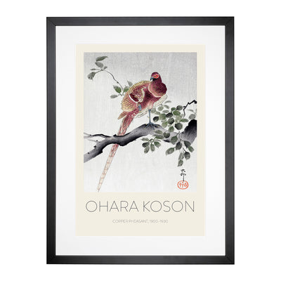 Copper Pheasant Print By Ohara Koson Framed Print Main Image