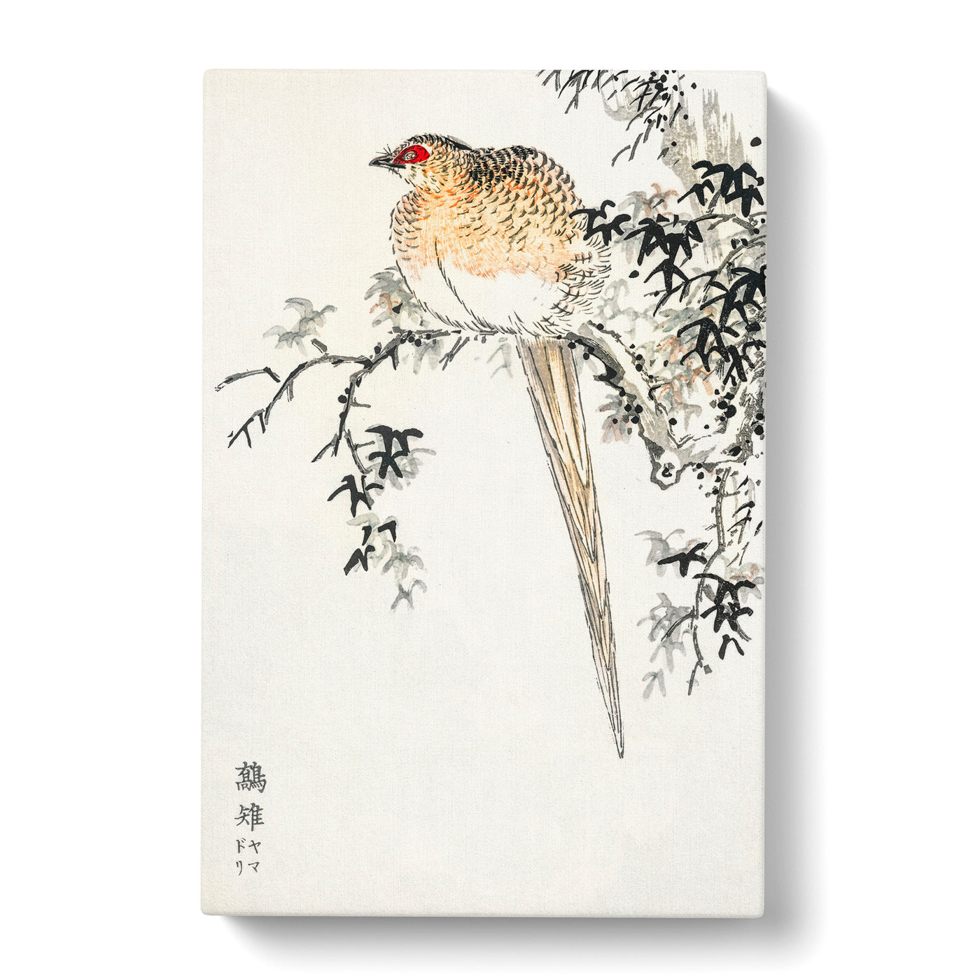 Copper Pheasant By Numata Kashu Canvas Print Main Image