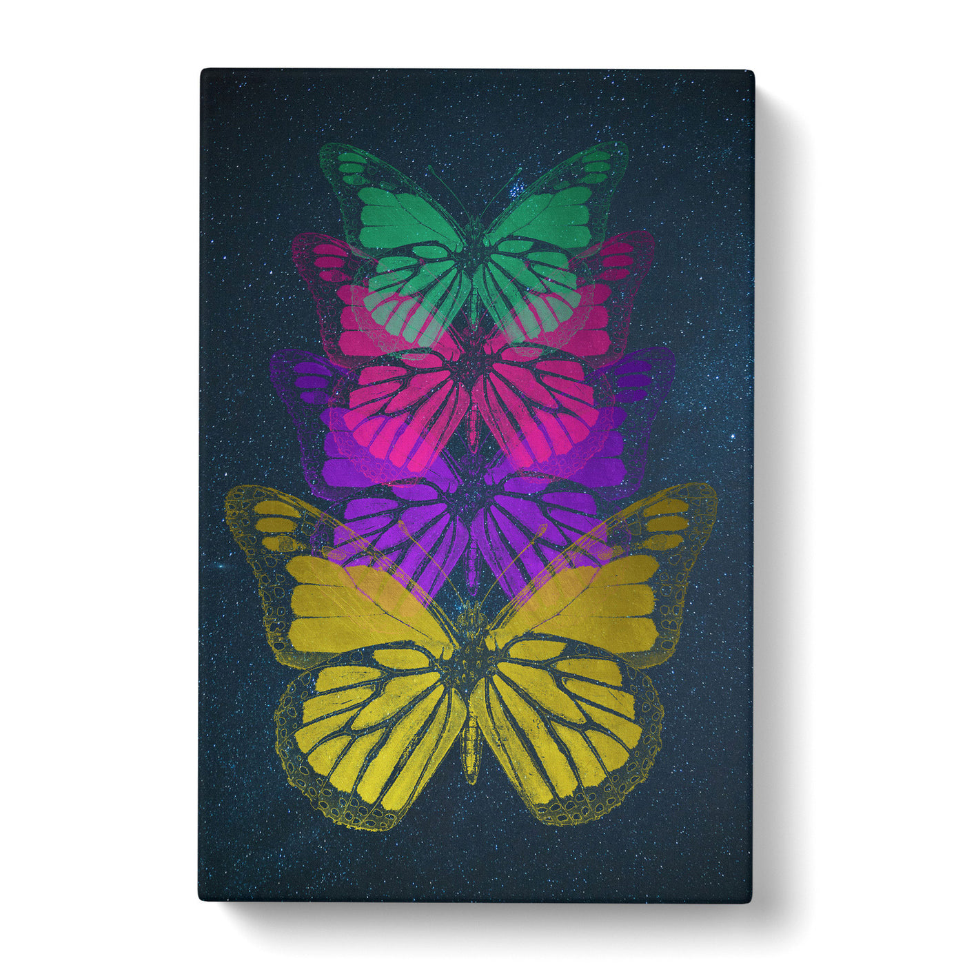 Cosmic Butterflies Canvas Print Main Image