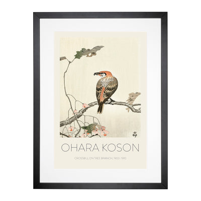 Crossbill On A Tree Branch Print By Ohara Koson Framed Print Main Image