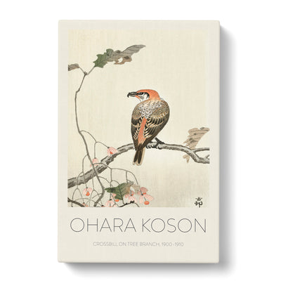 Crossbill On A Tree Branch Print By Ohara Koson Canvas Print Main Image