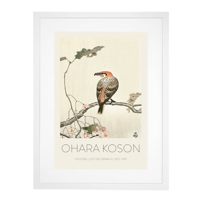 Crossbill On A Tree Branch Print By Ohara Koson