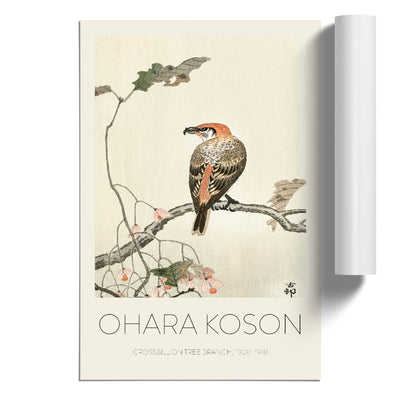 Crossbill On A Tree Branch Print By Ohara Koson
