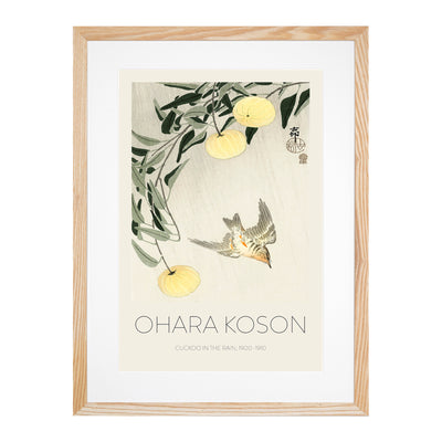 Cuckoo Bird In Flight Print By Ohara Koson