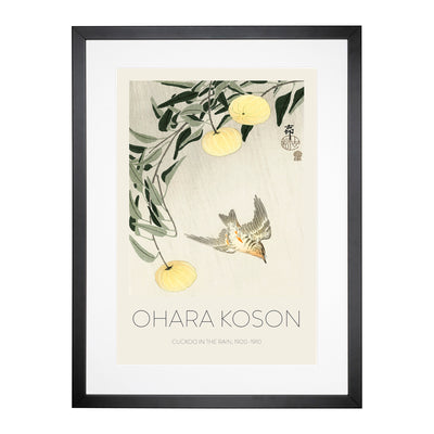 Cuckoo Bird In Flight Print By Ohara Koson Framed Print Main Image