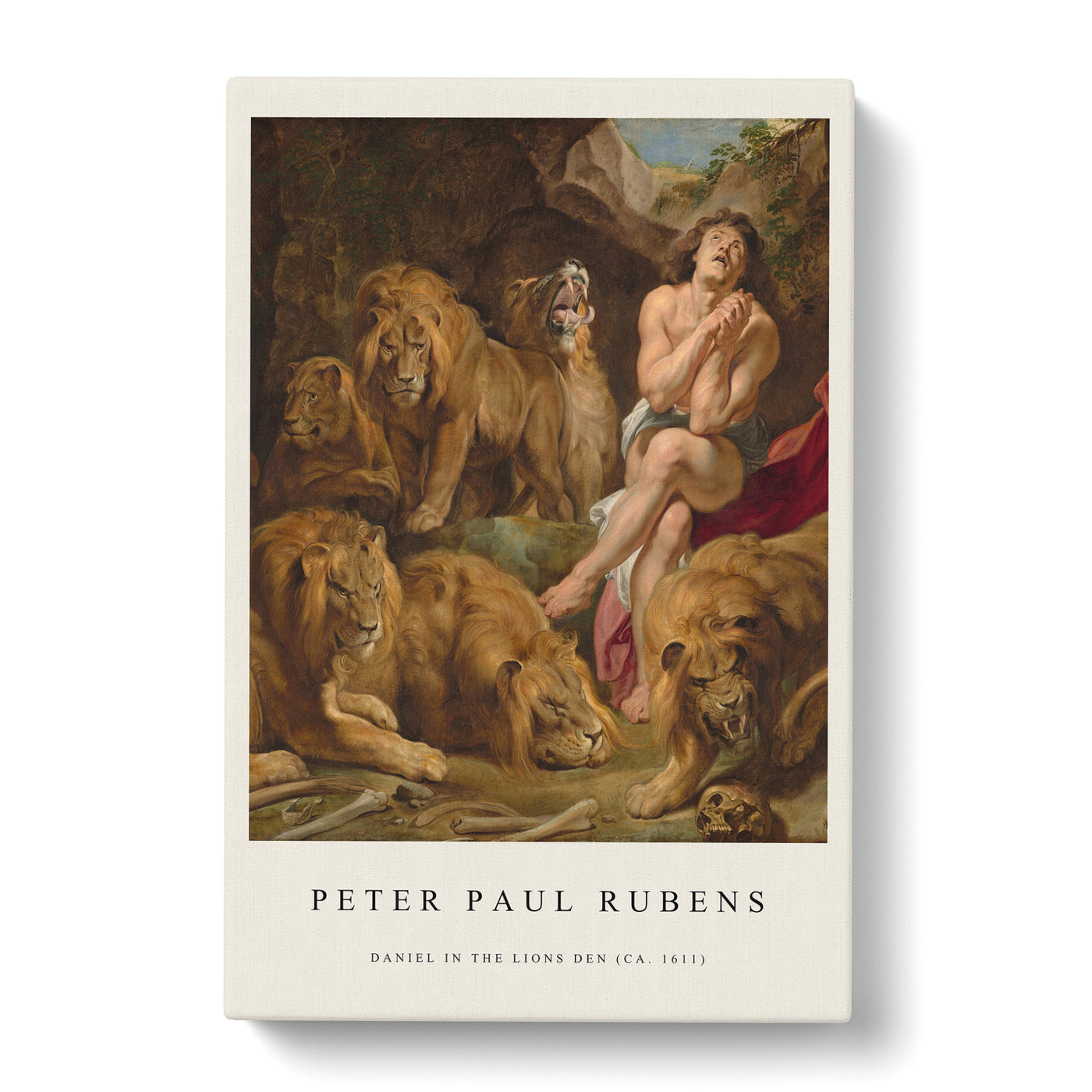 Daniel In The Lions' Den Print By Peter Paul Rubens Canvas Print Main Image