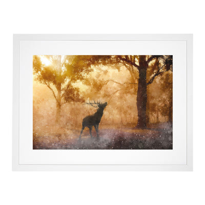 Deer Stag In An Autumn Forest