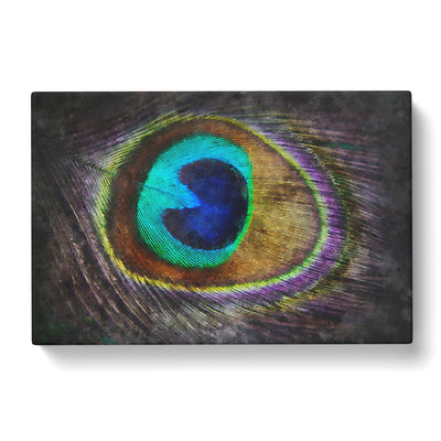 Delicate Peacock Feather Painting Canvas Print Main Image