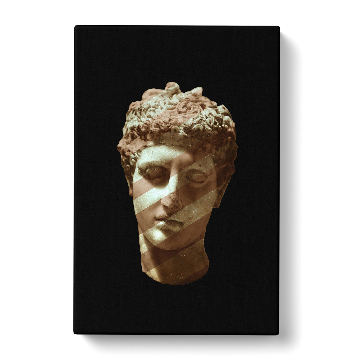 Disco Marble Head Canvas Print Main Image