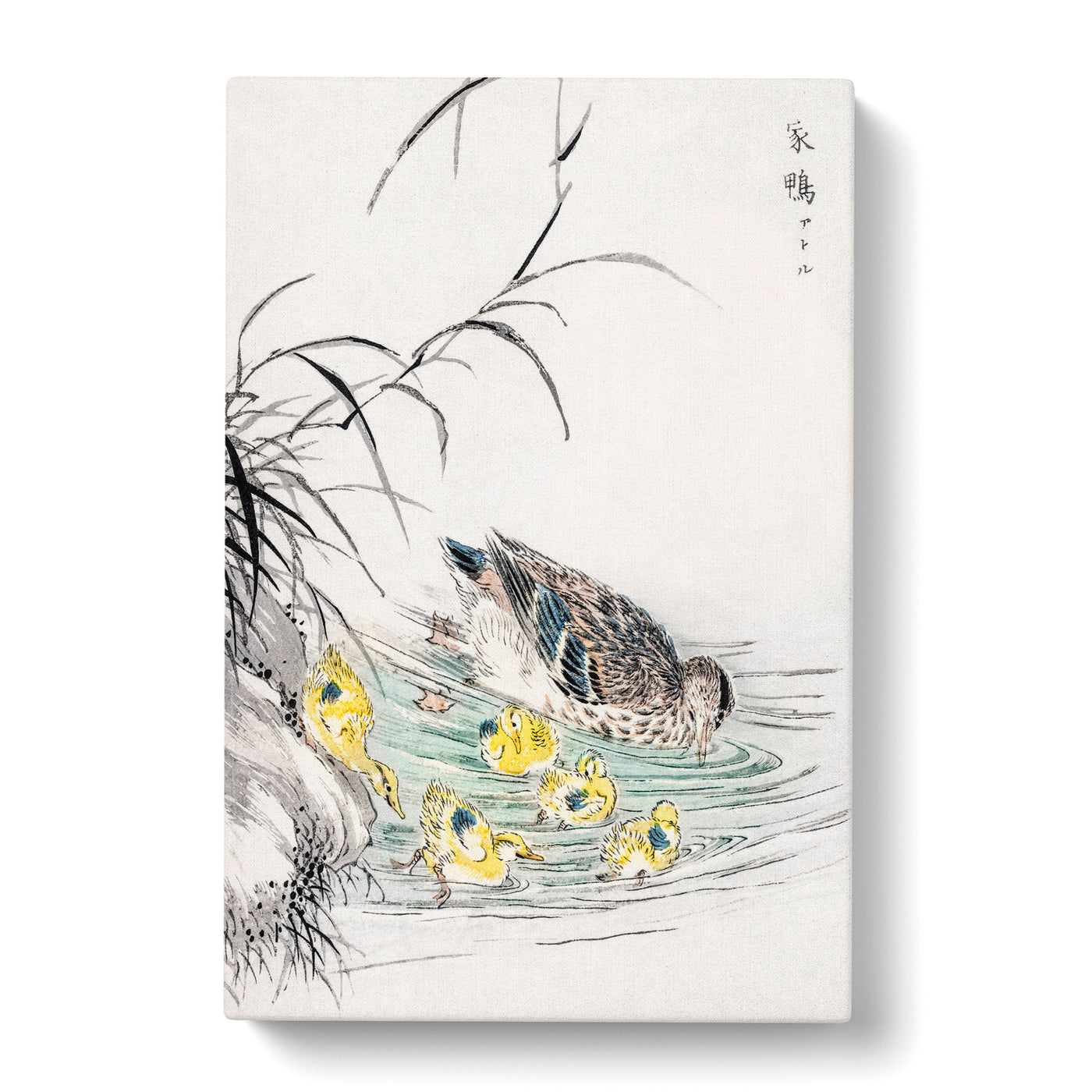 Duck With Chicks By Numata Kashu Canvas Print Main Image