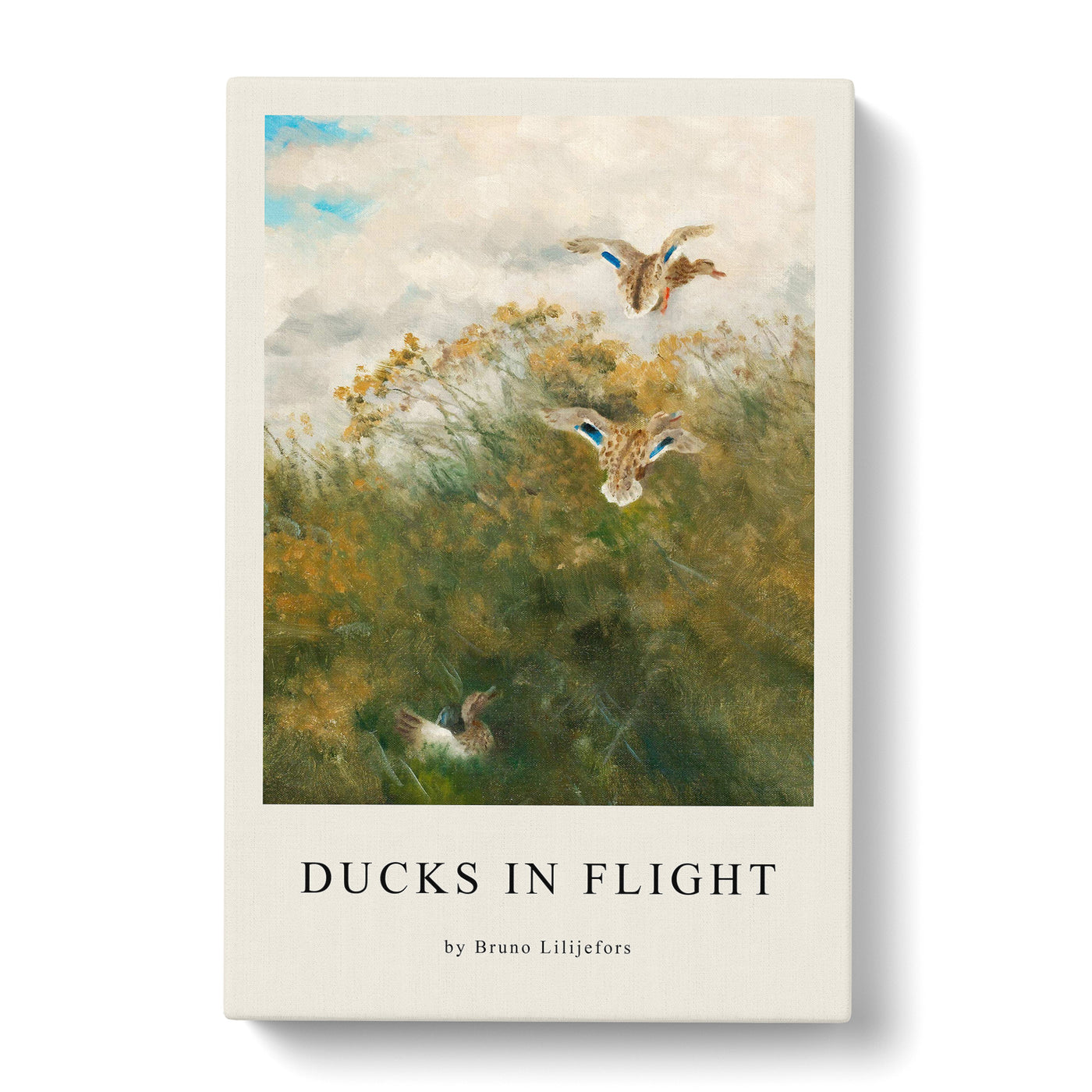 Ducks Taking Flight Print By Bruno Liljefors Canvas Print Main Image