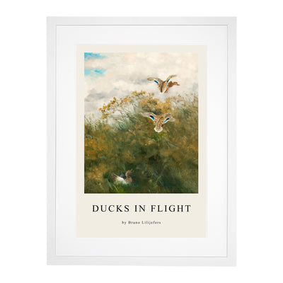 Ducks Taking Flight Print By Bruno Liljefors