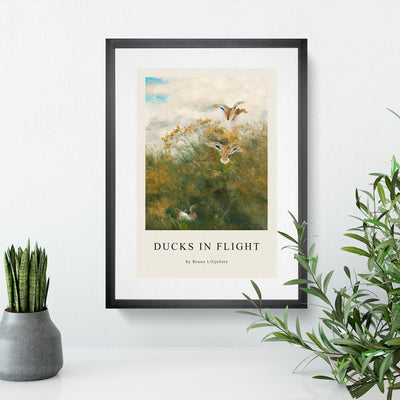 Ducks Taking Flight Print By Bruno Liljefors