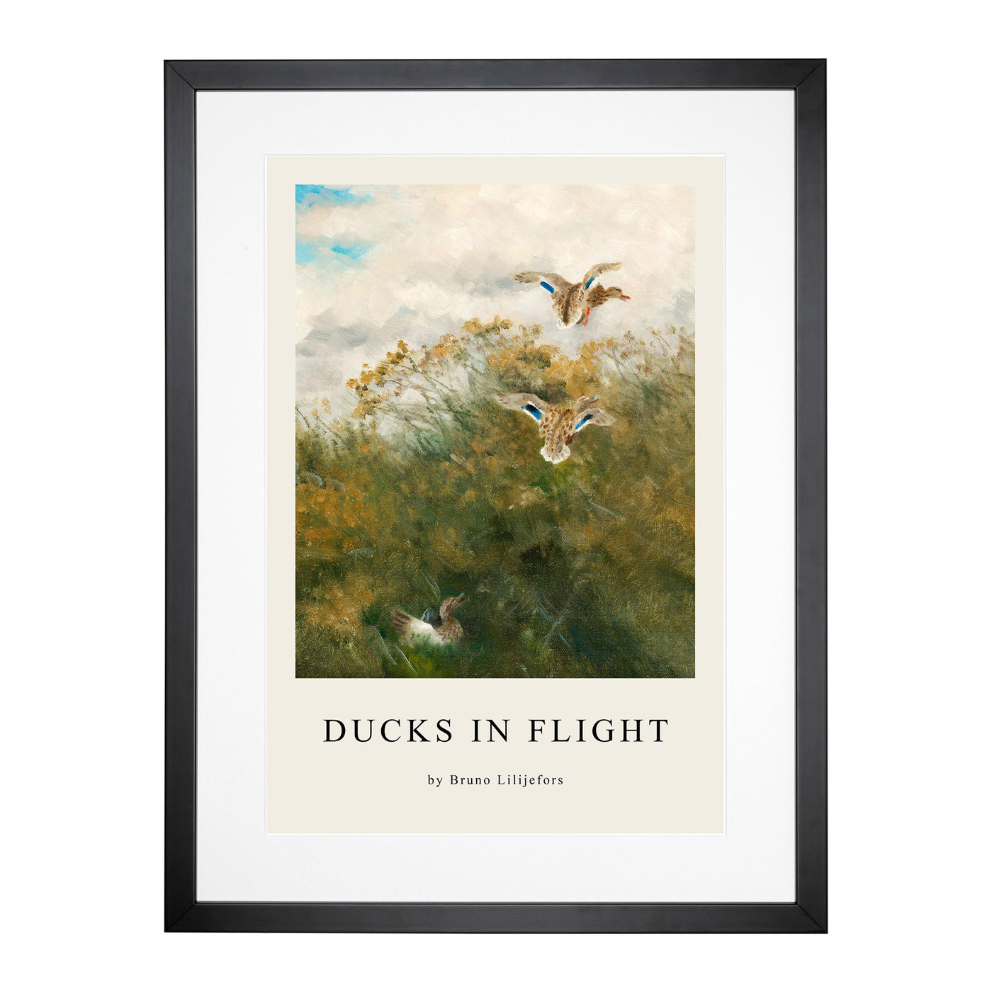 Ducks Taking Flight Print By Bruno Liljefors Framed Print Main Image