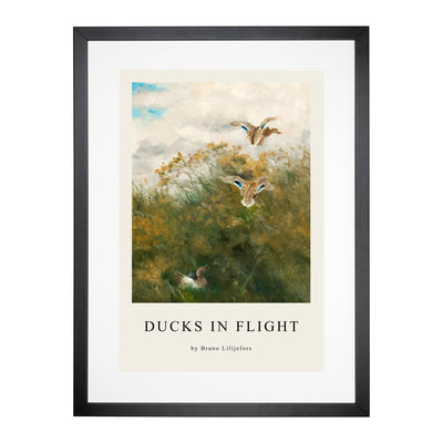 Ducks Taking Flight Print By Bruno Liljefors Framed Print Main Image