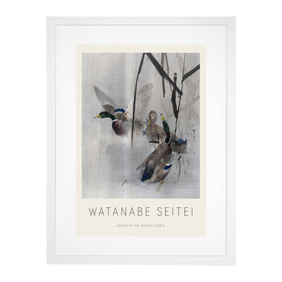 Ducks In The Rushes Print By Watanabe Seitei