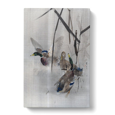 Ducks In The Rushes By Watanabe Seitei Canvas Print Main Image