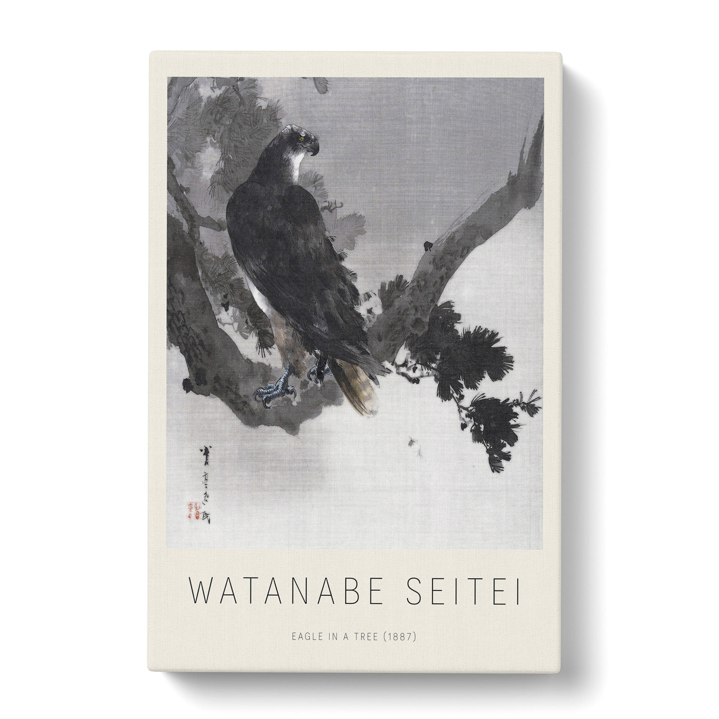 Eagle In A Tree Print By Watanabe Seitei Canvas Print Main Image