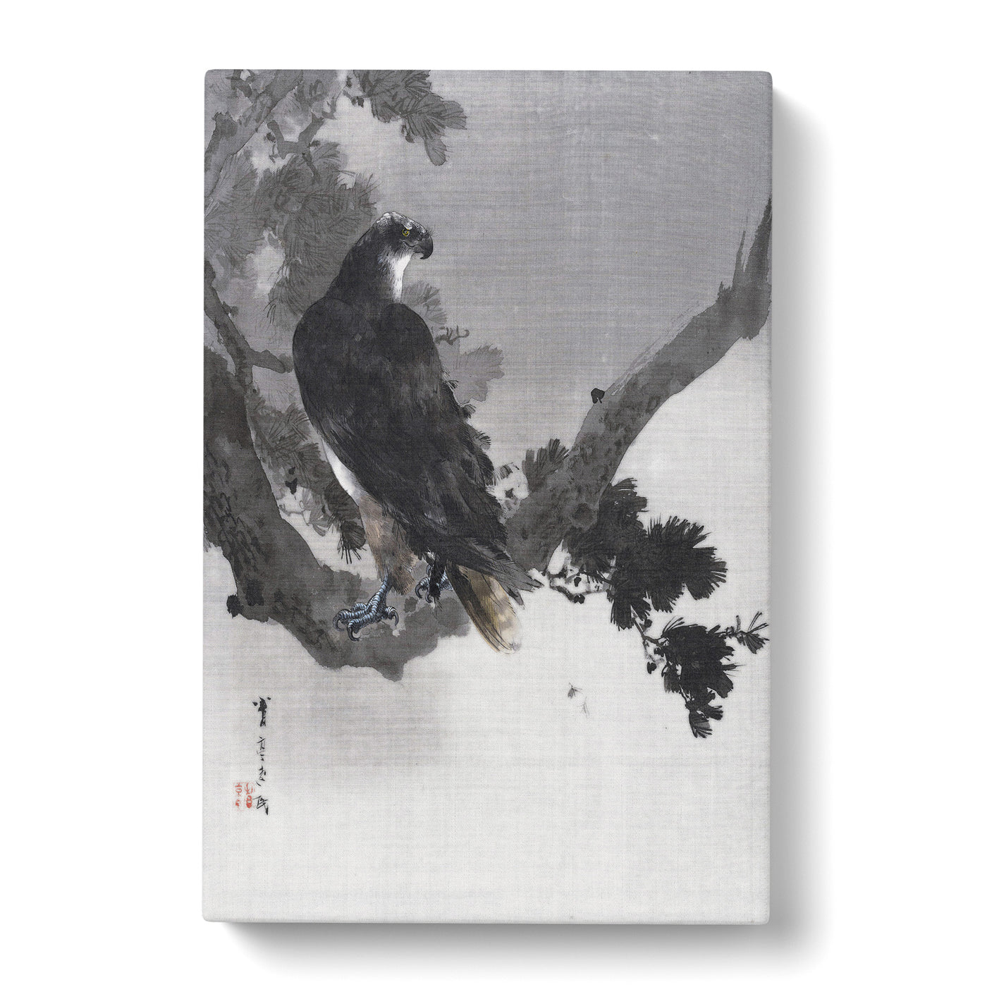 Eagle In A Tree By Watanabe Seitei Canvas Print Main Image