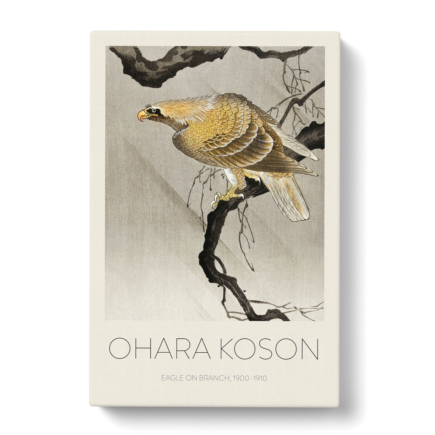 Eagle In The Tree Print By Ohara Koson Canvas Print Main Image
