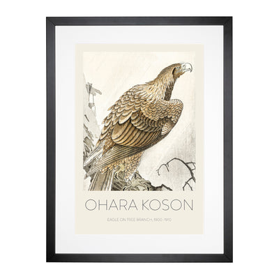 Eagle On A Tree Branch Print By Ohara Koson Framed Print Main Image