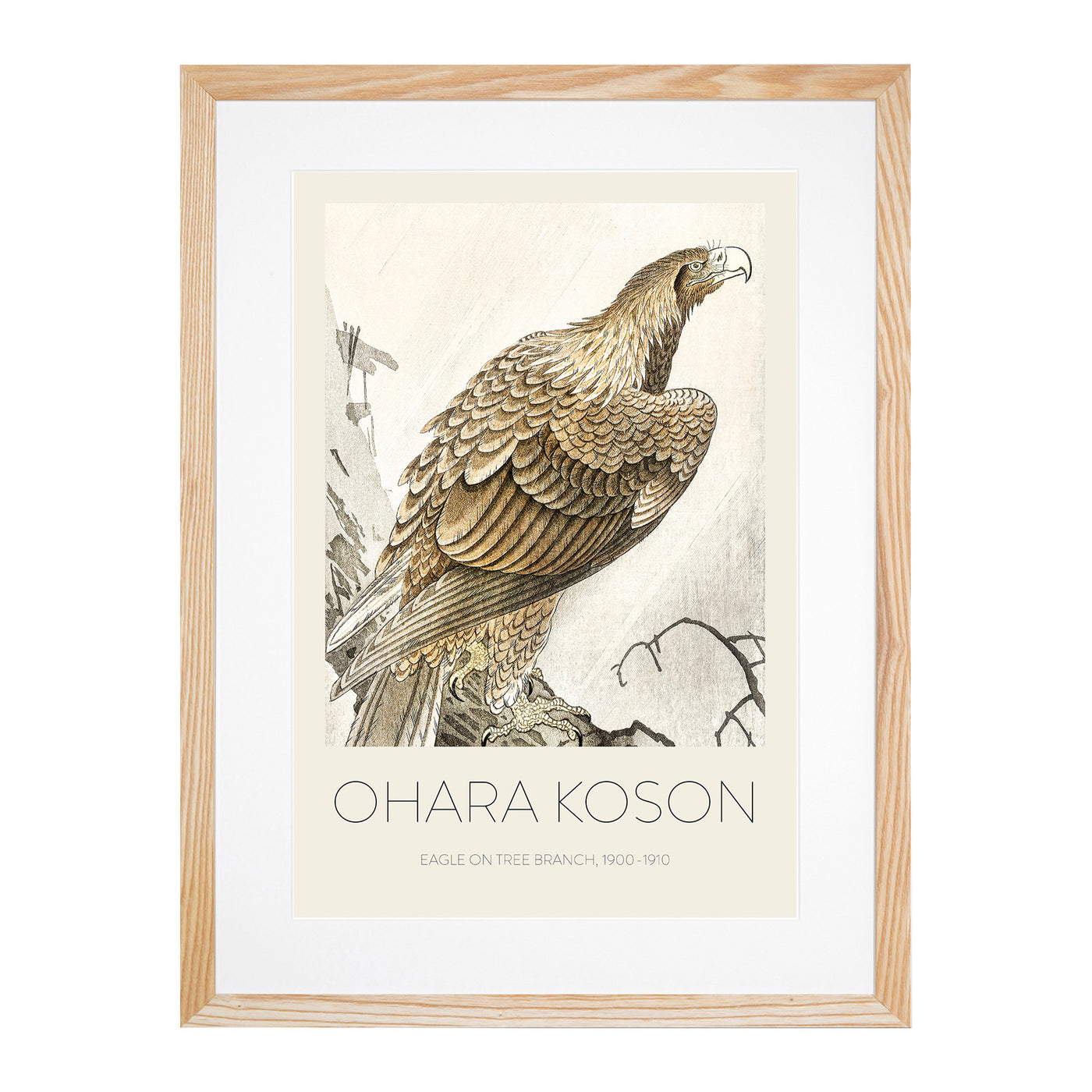 Eagle On A Tree Branch Print By Ohara Koson