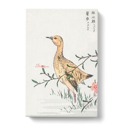 Eastern Redshank Bird By Numata Kashu Canvas Print Main Image