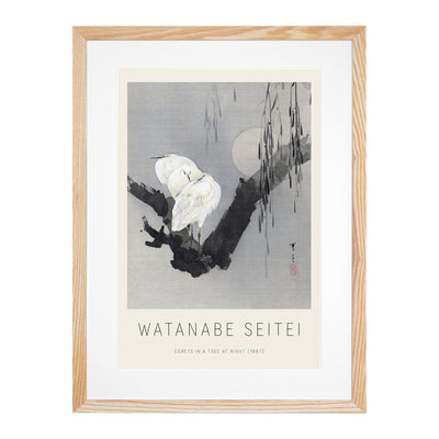 Egrets In A Tree At Night Print By Watanabe Seitei