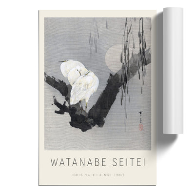 Egrets In A Tree At Night Print By Watanabe Seitei