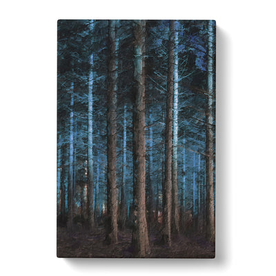 Evening Forest Canvas Print Main Image