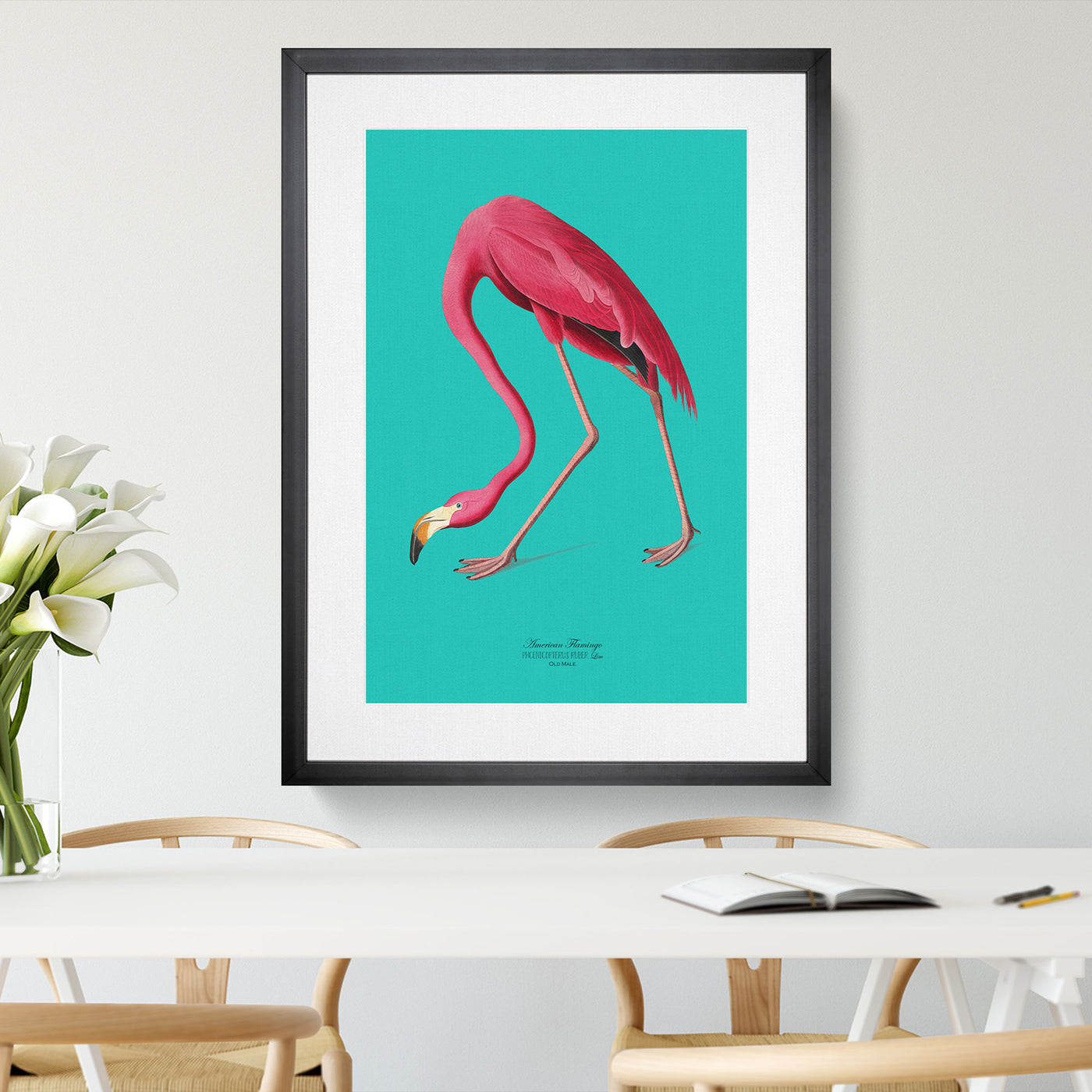 Flamingo in Teal By John James Audubon