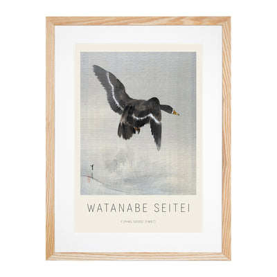 Floying Goose Print By Watanabe Seitei