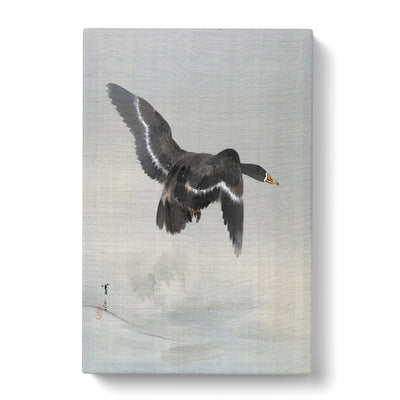 Floying Goose By Watanabe Seitei Canvas Print Main Image