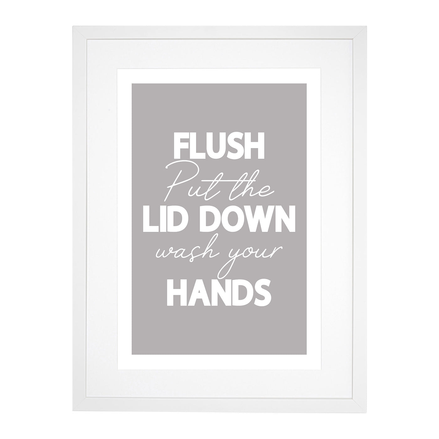Flush Put the Lid Down Wash Your Hands